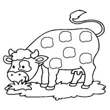 Cow grazing on grass coloring page