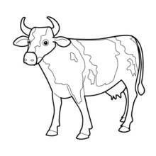 Cow standing with curved horns coloring page