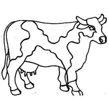 Cow with folk art style patches coloring page
