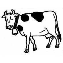 Cow wearing a bell coloring page