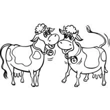 Cow duo facing each other with bells coloring page