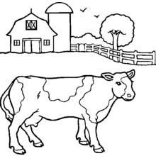 Cow standing in front of a farm coloring page