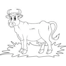 Cow standing in the grass coloring page