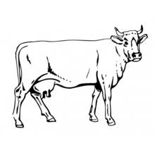 Cow standing in profile with horns coloring page