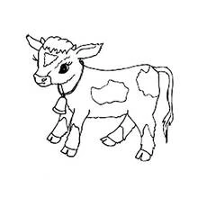 Cow with a bell around its neck coloring page