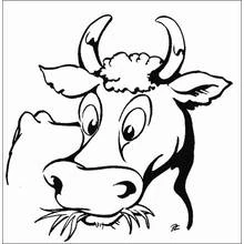 Cow head with grass in mouth coloring page