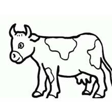 Cow standing with spotted coat coloring page
