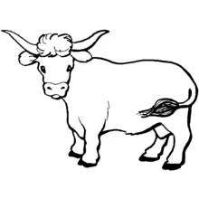 Cow with long horns standing still coloring page