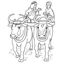 Cow team pulling a cart with two men coloring page