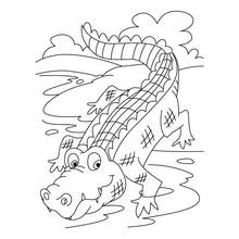 Crocodile walking by the water coloring page