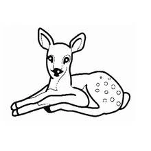 Doe lying down with spotted fawn coat coloring page