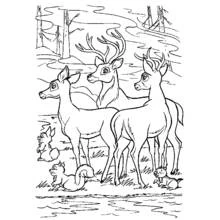 Doe with a herd of deer near a pond coloring page