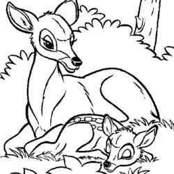 Doe resting with her fawn in the forest coloring page