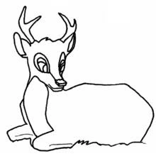 Doe lying down in the grass coloring page