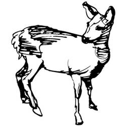 Doe standing with head turned back coloring page