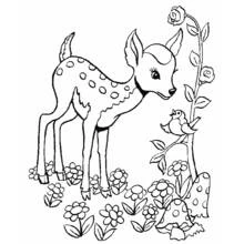 Doe standing among flowers with a bird coloring page