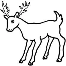 Doe standing with large antlers coloring page