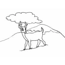 Doe standing under a tree by the hills coloring page