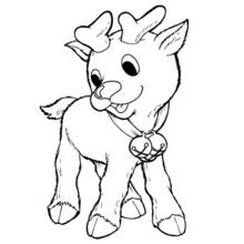 Baby reindeer with a bell collar coloring page