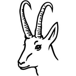 Ibex head with long ridged horns coloring page