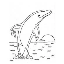 Dolphin leaping out of the ocean coloring page