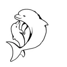 Dolphin with its baby swimming together coloring page