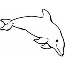 Dolphin swimming gracefully coloring page