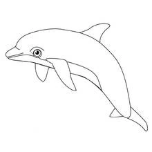 Dolphin leaping through the water coloring page
