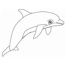 Dolphin leaping through the air coloring page