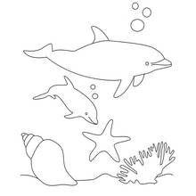 Dolphin swimming with its baby underwater coloring page