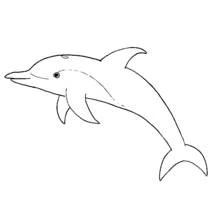 Dolphin leaping through the water coloring page