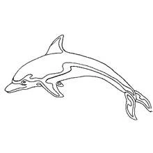 Dolphin leaping with tribal patterns coloring page