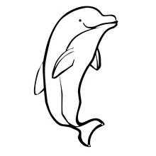 Dolphin jumping upright coloring page