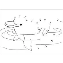 Dolphin dot-to-dot in the water coloring page