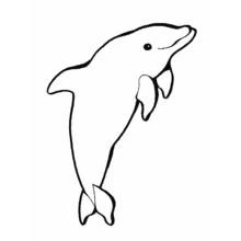 Dolphin leaping upward coloring page
