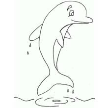 Dolphin jumping out of the water coloring page