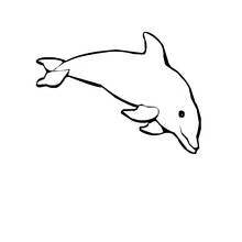 Dolphin leaping through the water coloring page