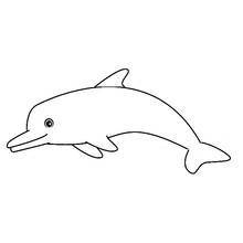 Dolphin swimming in profile coloring page