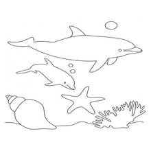 Dolphin swimming with its baby underwater coloring page