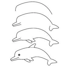 Dolphin drawing steps coloring page