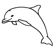 Dolphin leaping through the air coloring page