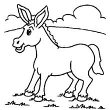 Donkey - Free printable coloring pages
