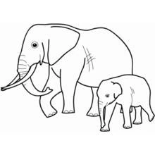 Elephant walking with its baby coloring page