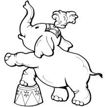 Elephant balancing on a circus stool coloring page