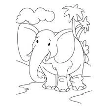 Elephant standing in the jungle coloring page
