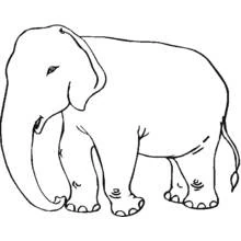 Elephant standing calmly coloring page