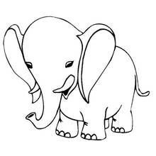 Elephant with big ears and curled trunk coloring page