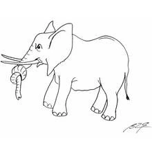 Elephant with curled trunk coloring page