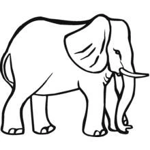 Elephant standing in profile coloring page
