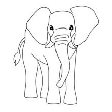 Elephant standing facing forward coloring page